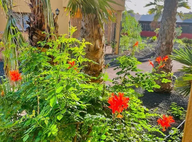 Paradise House Lägenhet *