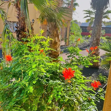 Paradise House Appartement *